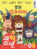 대표이미지