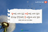 대표이미지