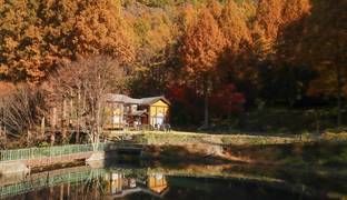 [포토] 논산 가을, 고택과 숲길에 물든 풍경 속 힐링 명소