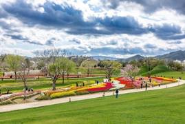 [포토] 순천만국가정원에 150만 송이 '튤립' 장관