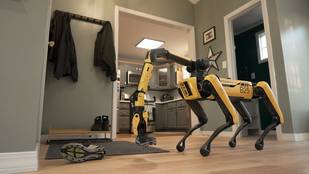 [맥락 재구성] '명령 수행' 넘어 '판단'으로…로봇 역할 변화