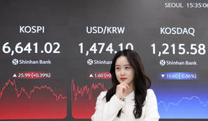 코스피, 기관 매수세에 6700선 첫 돌파 후 '숨고르기'