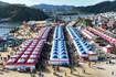 청송군, 제20회 청송사과축제 밑그림 그리기 착수