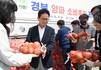 경북도, 양파 가격 하락에 소비촉진·수출 확대 총력