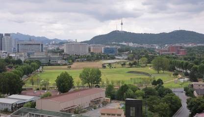 정부 