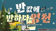 대표이미지
