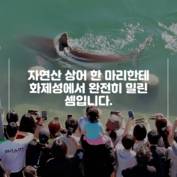 [숏폼] 논란의 여수섬박람회, 택시기사들에 화풀이 하다 '뭇매'