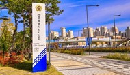 대표이미지