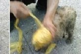 대표이미지
