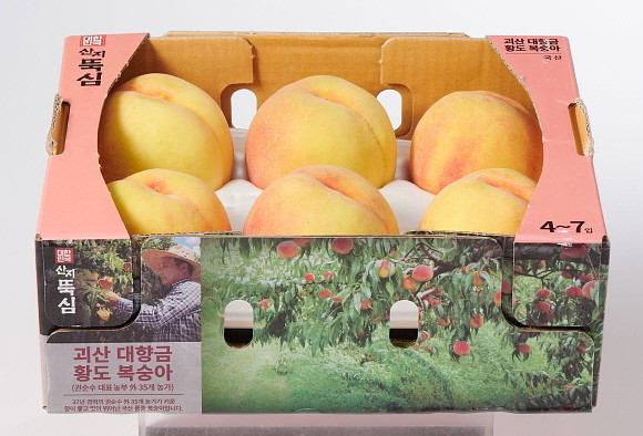 롯데마트가 오는 15일까지 전 점에서 충북 괴산군에서 복숭아를 재배하는 권순수 농부의 농가를 비롯한 36개 복숭아 농가에서 수확한 '산지뚝심 대향금 복숭아'를 판매한다. © 롯데마트
