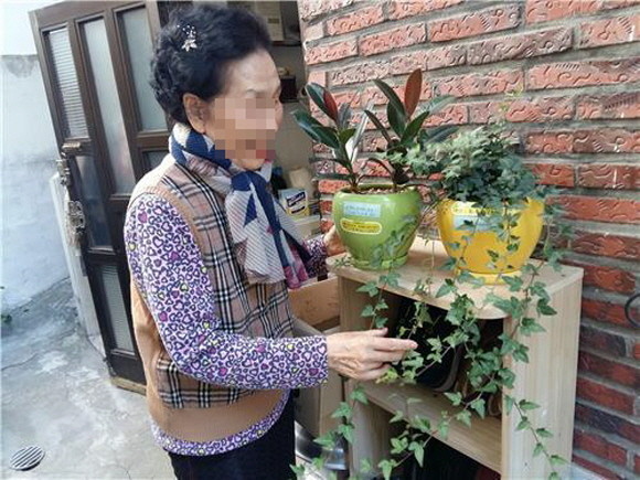 식물을 키우다 보면 그 식물이 자라는 것을 바라보면서 즐겁고 행복한 기분이 들 수 있어요 이 사진은 기사와 관계 없어요. ⓒ 연합뉴스