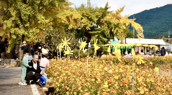 깊어가는 가을, 청라은행마을 축제에 가족과 함께 하고 있다. ⓒ 보령시