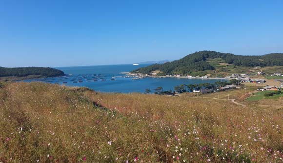 청산도 서편제의 배경이 됐던 언덕에서 바라본 마을의 평경이다. = 김경태 기자