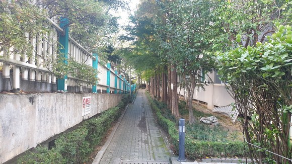 서광아파트는 고즈넉한 구축 분위기를 선사하고 있다. = 선우영 기자