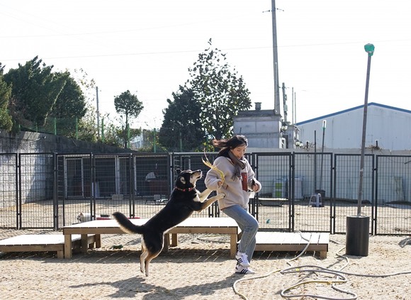 인크루트 직원이 지난 18일 경기도 김포에 위치한 유기견 보호 단체 '하우네쉼터'를 찾아 유기견과 함께 뛰어놀고 있다. ⓒ 인크루트