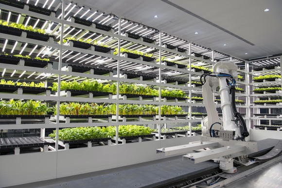 스마트 팜(Smart Farm)의 모습. ⓒ 현대자동차그룹