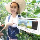 대표이미지