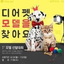 대표이미지