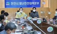 대표이미지