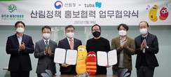 대표이미지
