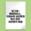 대표이미지