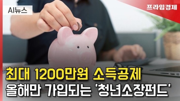 [AI뉴스룸] 청년소장펀드, 최대 1200만원 공제…올해만 가능