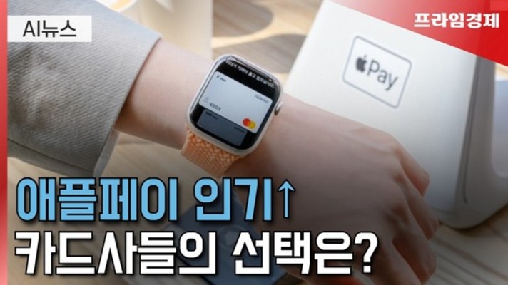[AI뉴스룸] 애플페이 인기↑, 카드사들의 선택은?