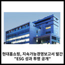 대표이미지