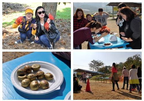 모습을 드러낸 황금알밤이 곱게 놓여있다. 알밤을 활용한 각종 행사에 상담사들의 웃음소리가 끊이지 않았다. = 하영인 기자