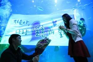 한화아쿠아플라넷여수, 대형수족관 앞에서 연인이 프로포즈하는 모습 ⓒ 한화아쿠아플라넷 제공
