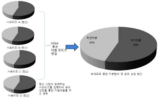사모 리츠 여러 개를 묶어 상장을 추진할 경우. ⓒ 국토교통부