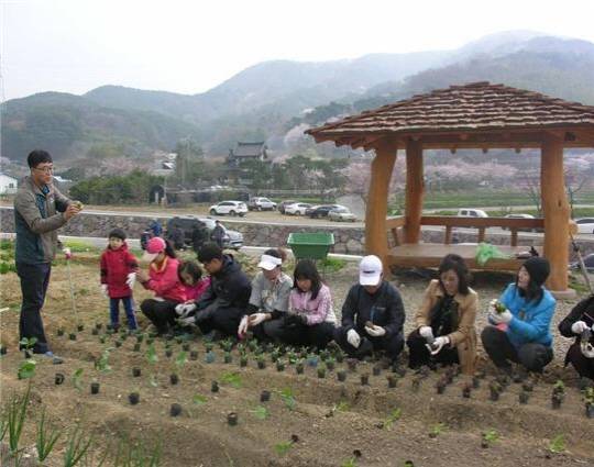 동부산 공영 시민텃밭에서 농작물재배 시연 모습. ⓒ 부산시