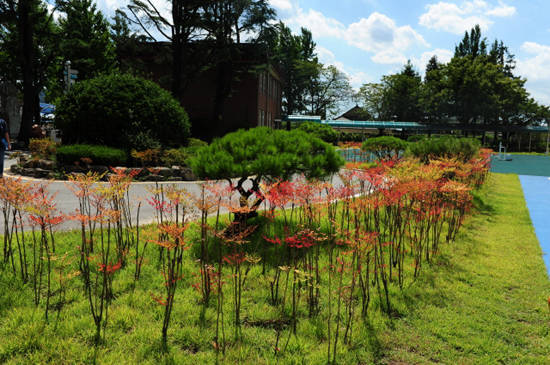 담양군 고서중학교의 녹색의 쉼터 '명상숲'의 모습이예요. ⓒ 담양군