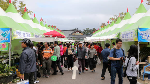 축제 방문객들이 청정골장터를 구경하고 있다. ⓒ 산청군