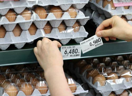 대형마트 3사가 23일 달걀 가격을 일제히 인하했다. ⓒ 뉴스1