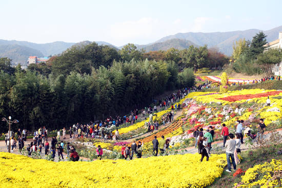 2016년 화순 국화축제 장면. '화순 국화향연'은 오는10월27일부터 11월12일까지 남산 일원에서 '김삿갓이 머문 국화동산으로! 산 너머 국화밭 가는 길'이라는 주제로 열린다. ⓒ 화순군