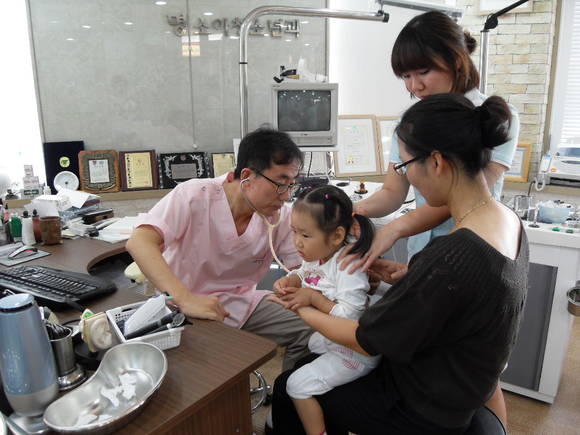 인플루엔자 예방접종 장면. ⓒ 보령시청