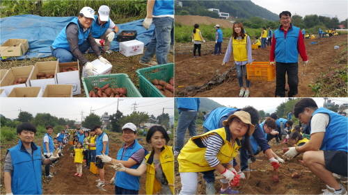 매년 고정적으로 참석하는 참가자가 늘면서 일의 분담이 잘되 시간이 단축됨은 물론, 가족단위의 참가자가 늘었다.=김상준 기자
