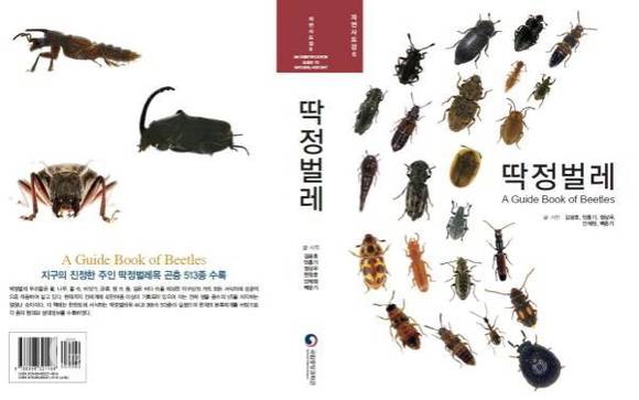 국립중앙과학관이 딱정벌레의 사진을 모은 책인 자연사도감 '딱정벌레'를 펴냈어요. ⓒ 국립중앙과학관
