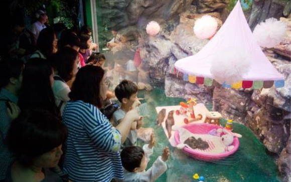 롯데월드 대형 수족관에 있는 아기 수달을 보러 온 사람들의 모습이에요. ⓒ 롯데월드