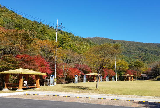 한천자연휴양림 잔디광장 모습. ⓒ 화순군