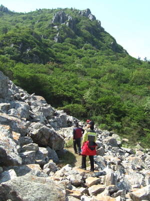 달마고도 천년숲길 구간. ⓒ 해남군