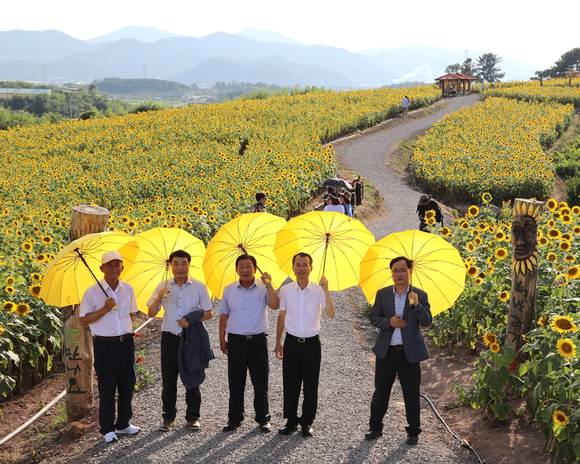 조근제 함안군수와 축제관계자들이 강주해바라기축제 현장을 둘러보고 있다. ⓒ 함안군청