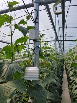 낙안원예단지 내 설치된 스마트 통신망 ⓒ 순천시