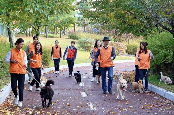 김은수 한화갤러리아 대표 등 임직원 봉사단 25명은 24일 유기견 보호소 양주 쉼터를 방문, 사료 800kg을 전달하고 유기견 견사 바닥 정비 작업과 대청소 등 보호소 환경 개선 봉사활동을 진행했다. ⓒ 한화갤러리아