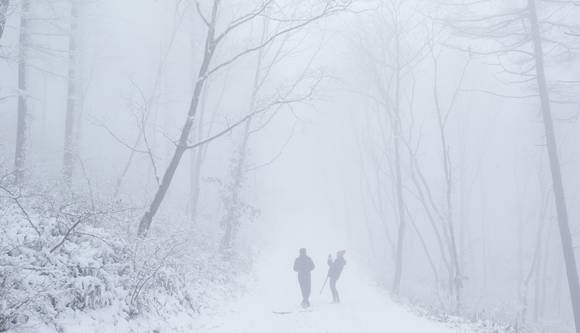 함백산 설경. ⓒ 산림청