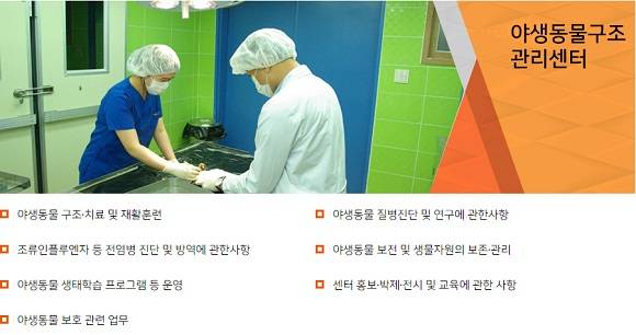 야생동물구조관리센터에서 하는 일을 설명해줘요. ⓒ 광주광역시보건환경연구원