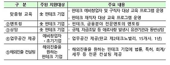 핀테크 기업 및 개인 대상, 맞춤형 성장지원 프로그램 세부내용. ⓒ 금융위원회