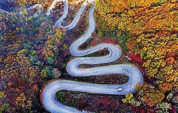 속리산 말티재 숲. ⓒ 산림청