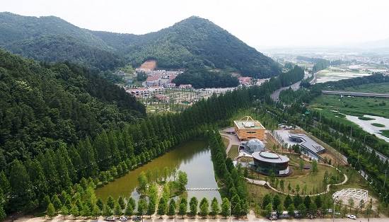 담양 메타세쿼이아랜드 전경. ⓒ 담양군